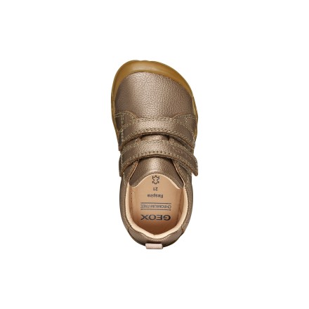 Steppieup Sneakers