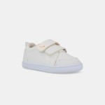 Sneakers Chyclid