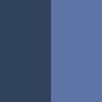 Navy/Blue Tang