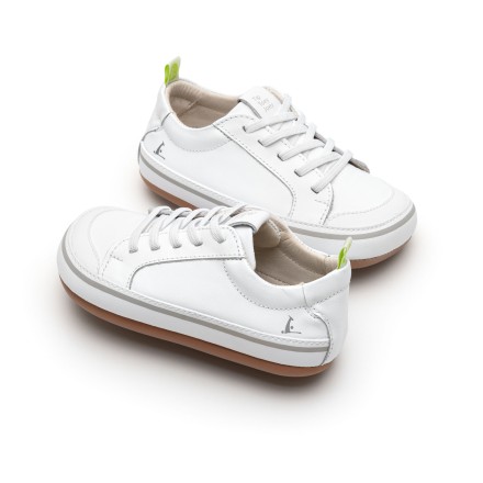 Sneakers Funky