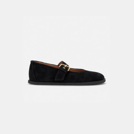 Flats Eclat - Image product